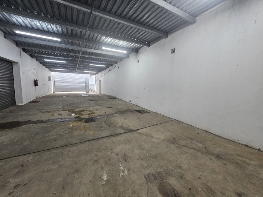 To Let commercial Property for Rent in Arcadia Eastern Cape